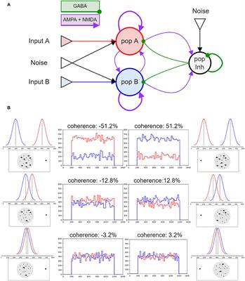 Reproducing a decision-making network in a virtual visual discrimination task